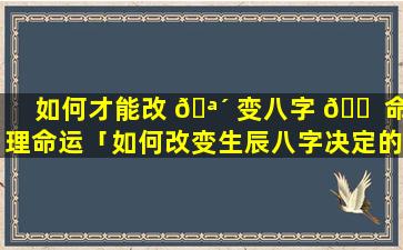 如何才能改 🪴 变八字 🐠 命理命运「如何改变生辰八字决定的命运(2)」